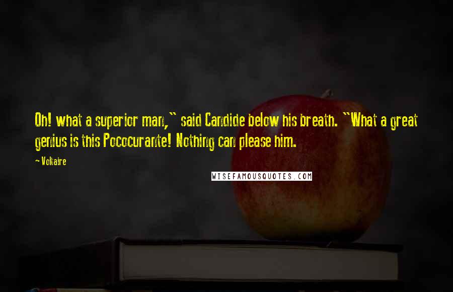 Voltaire Quotes: Oh! what a superior man," said Candide below his breath. "What a great genius is this Pococurante! Nothing can please him.
