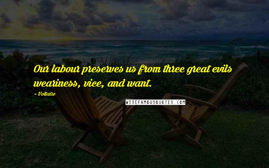 Voltaire Quotes: Our labour preserves us from three great evils  weariness, vice, and want.