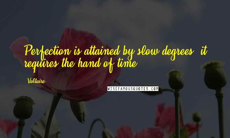 Voltaire Quotes: Perfection is attained by slow degrees; it requires the hand of time.