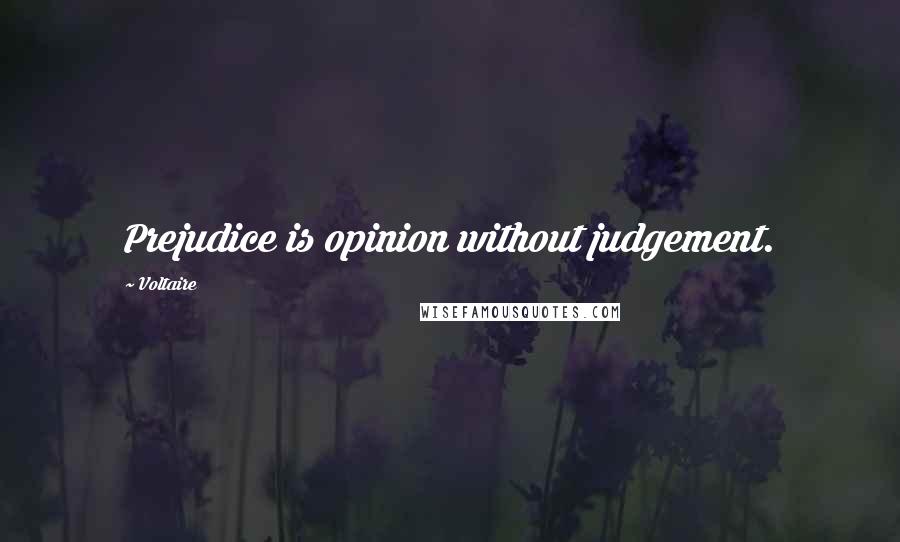 Voltaire Quotes: Prejudice is opinion without judgement.