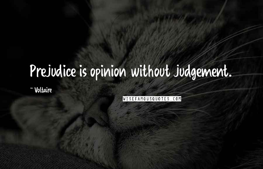 Voltaire Quotes: Prejudice is opinion without judgement.