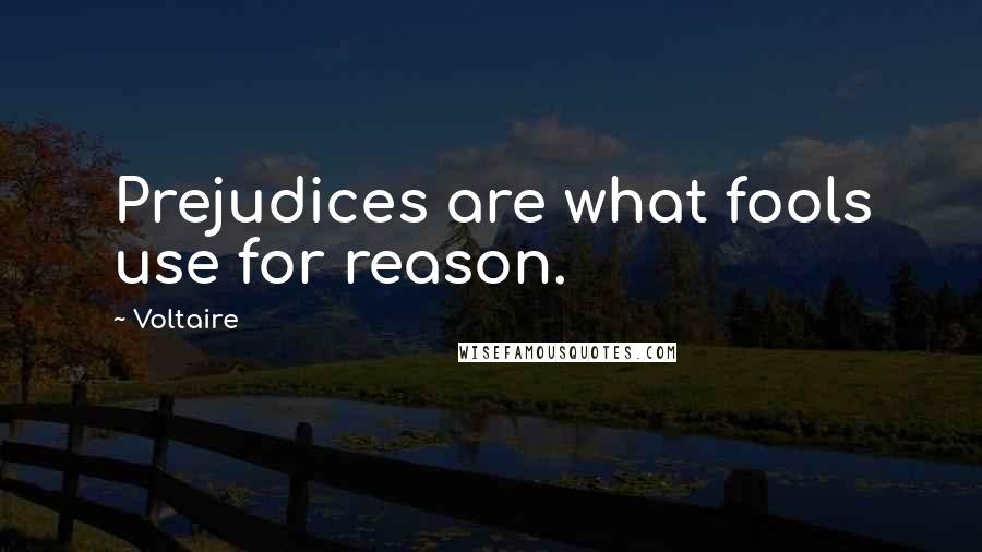 Voltaire Quotes: Prejudices are what fools use for reason.