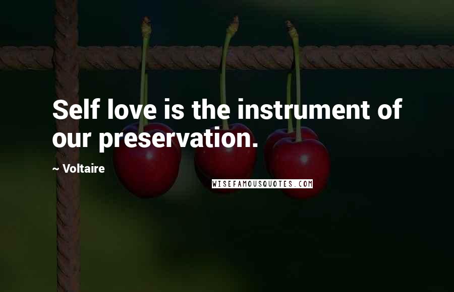 Voltaire Quotes: Self love is the instrument of our preservation.