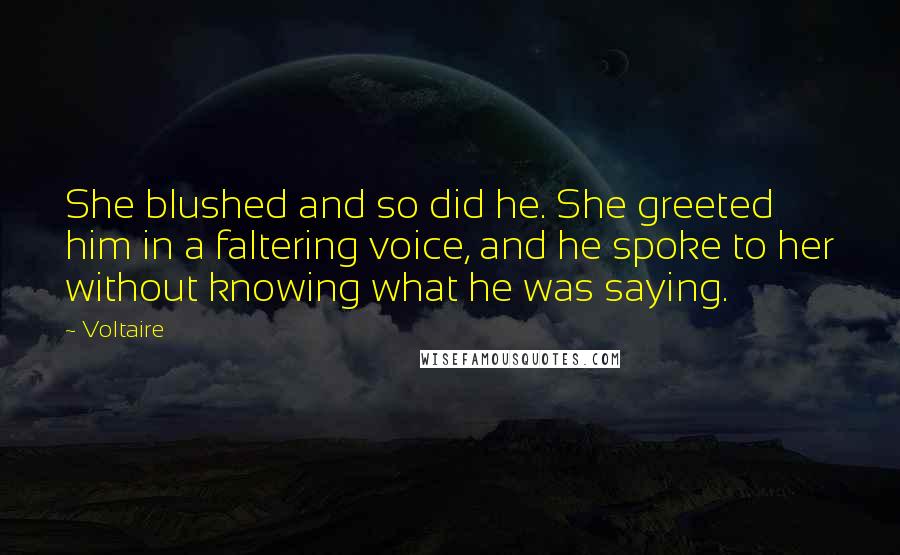 Voltaire Quotes: She blushed and so did he. She greeted him in a faltering voice, and he spoke to her without knowing what he was saying.