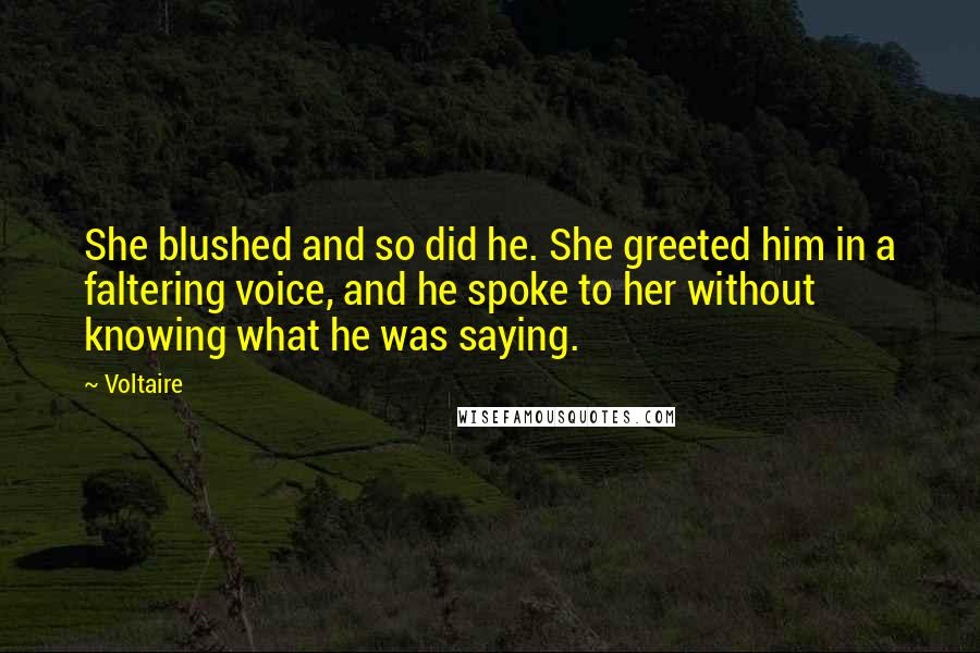 Voltaire Quotes: She blushed and so did he. She greeted him in a faltering voice, and he spoke to her without knowing what he was saying.