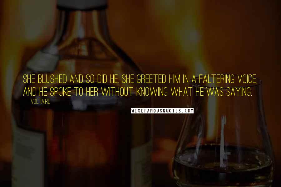 Voltaire Quotes: She blushed and so did he. She greeted him in a faltering voice, and he spoke to her without knowing what he was saying.