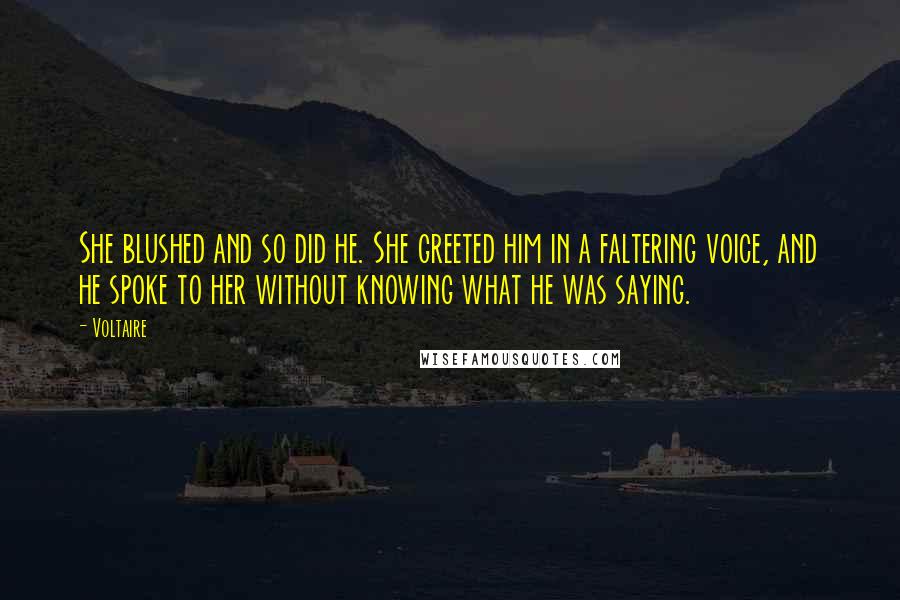 Voltaire Quotes: She blushed and so did he. She greeted him in a faltering voice, and he spoke to her without knowing what he was saying.