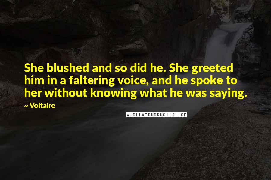 Voltaire Quotes: She blushed and so did he. She greeted him in a faltering voice, and he spoke to her without knowing what he was saying.