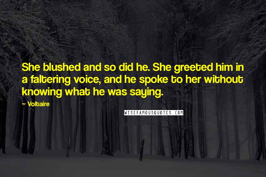 Voltaire Quotes: She blushed and so did he. She greeted him in a faltering voice, and he spoke to her without knowing what he was saying.