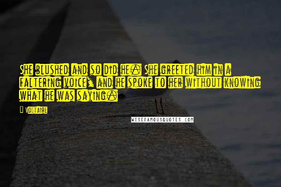 Voltaire Quotes: She blushed and so did he. She greeted him in a faltering voice, and he spoke to her without knowing what he was saying.
