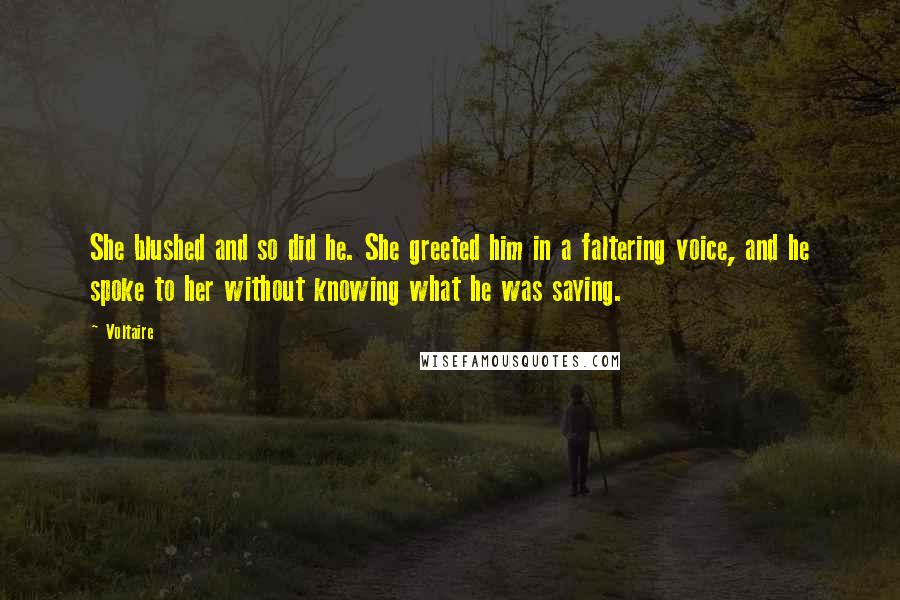 Voltaire Quotes: She blushed and so did he. She greeted him in a faltering voice, and he spoke to her without knowing what he was saying.