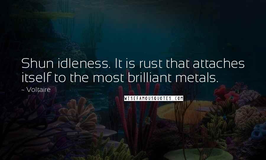 Voltaire Quotes: Shun idleness. It is rust that attaches itself to the most brilliant metals.