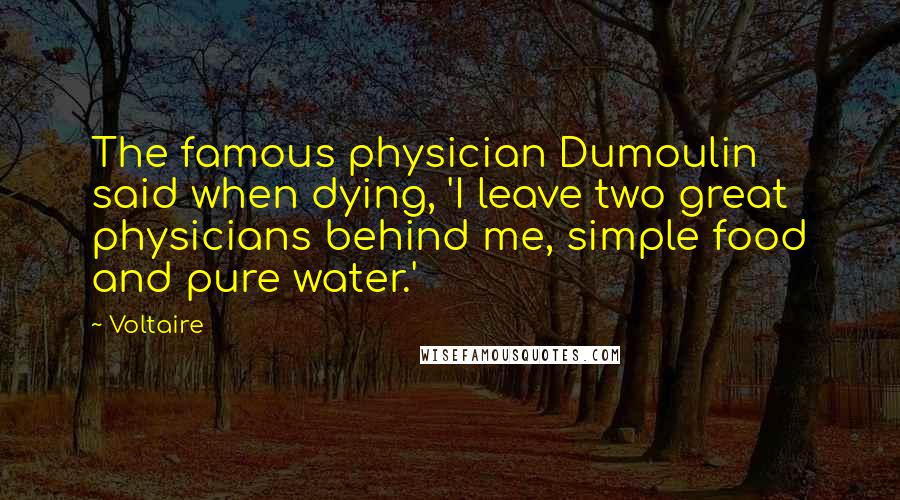 Voltaire Quotes: The famous physician Dumoulin said when dying, 'I leave two great physicians behind me, simple food and pure water.'