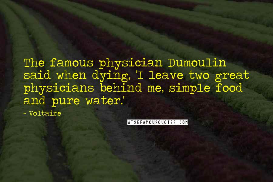 Voltaire Quotes: The famous physician Dumoulin said when dying, 'I leave two great physicians behind me, simple food and pure water.'