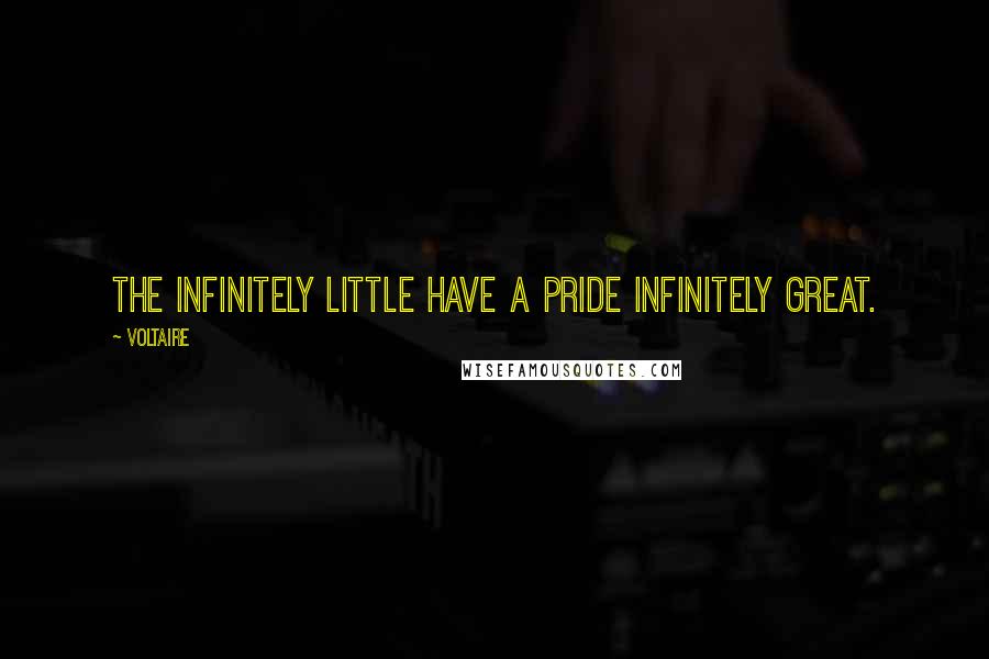 Voltaire Quotes: The infinitely little have a pride infinitely great.