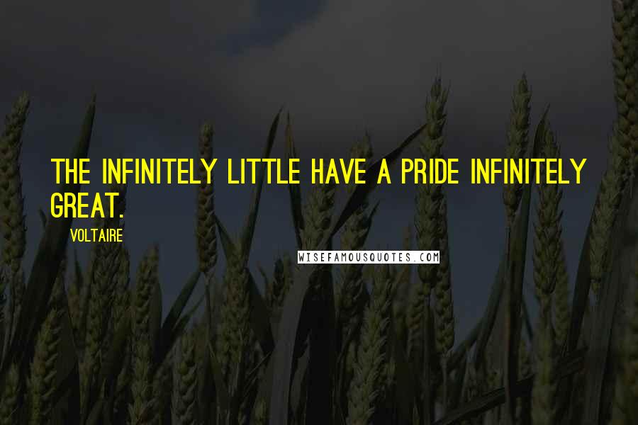 Voltaire Quotes: The infinitely little have a pride infinitely great.