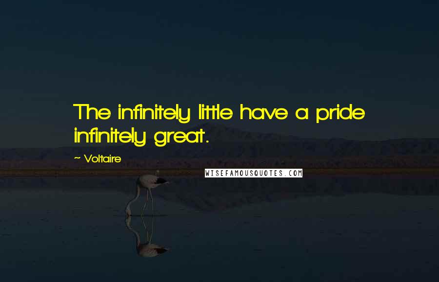 Voltaire Quotes: The infinitely little have a pride infinitely great.