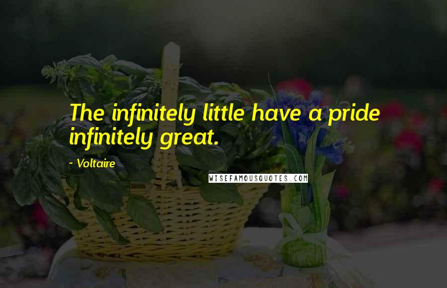 Voltaire Quotes: The infinitely little have a pride infinitely great.