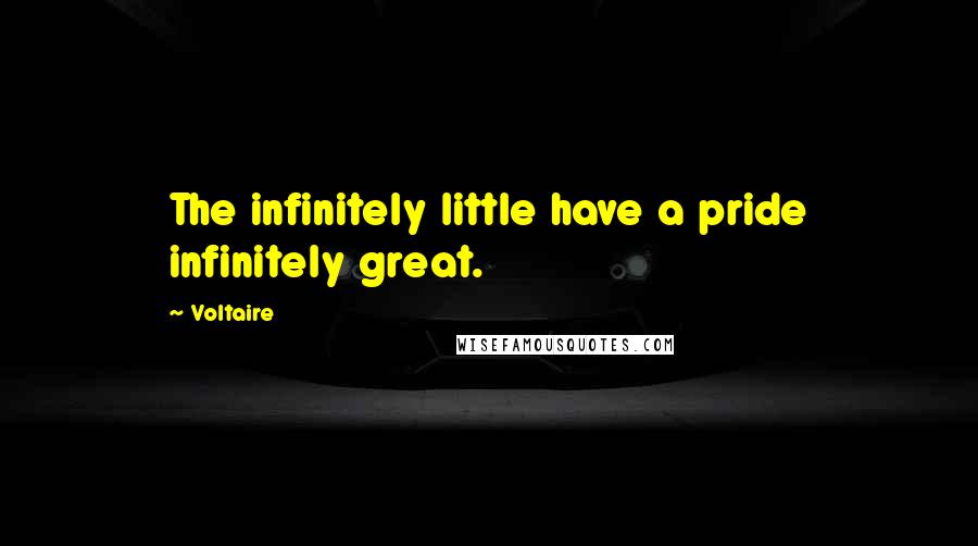 Voltaire Quotes: The infinitely little have a pride infinitely great.