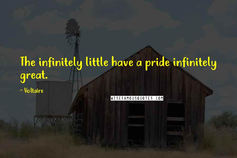 Voltaire Quotes: The infinitely little have a pride infinitely great.