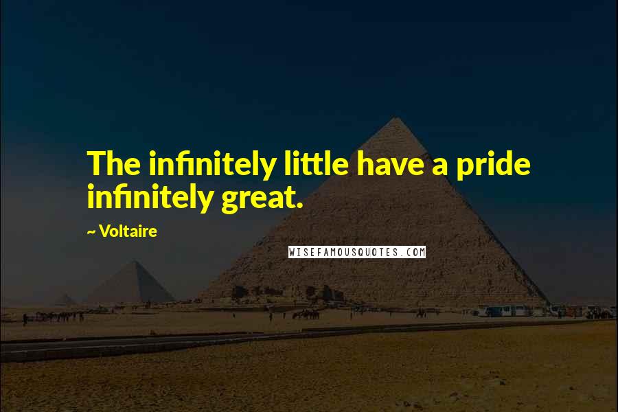 Voltaire Quotes: The infinitely little have a pride infinitely great.