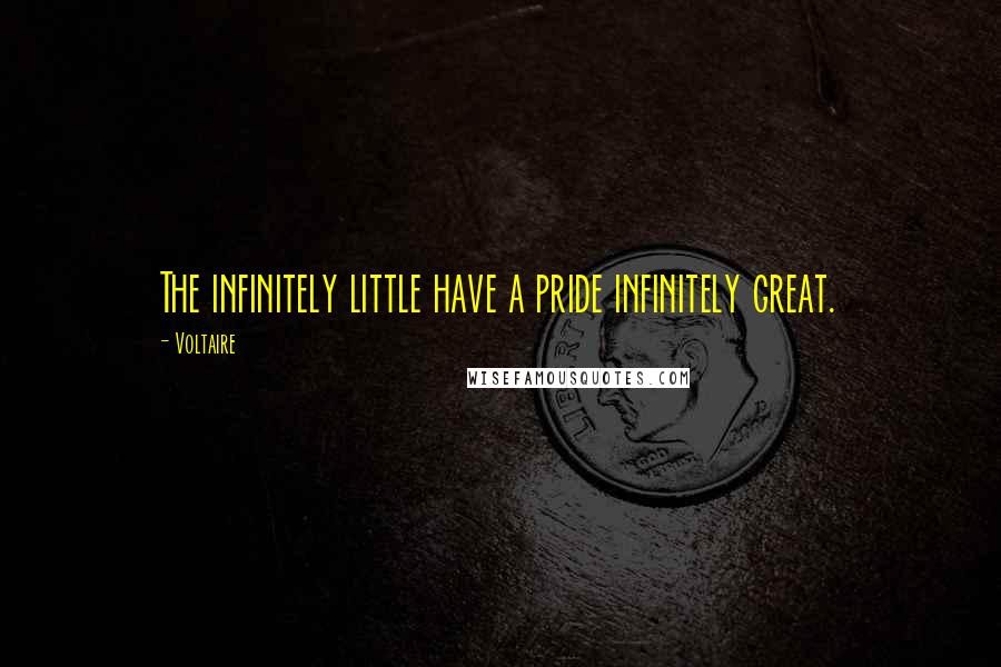 Voltaire Quotes: The infinitely little have a pride infinitely great.