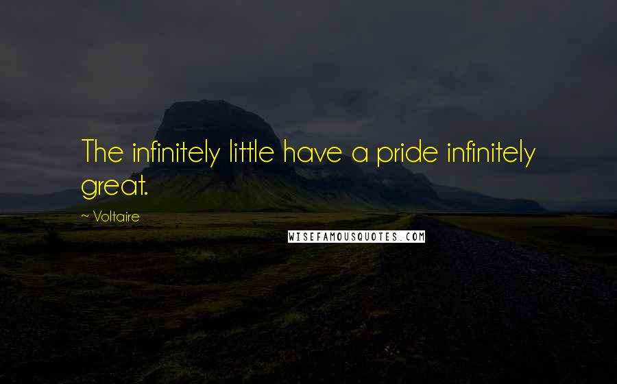 Voltaire Quotes: The infinitely little have a pride infinitely great.