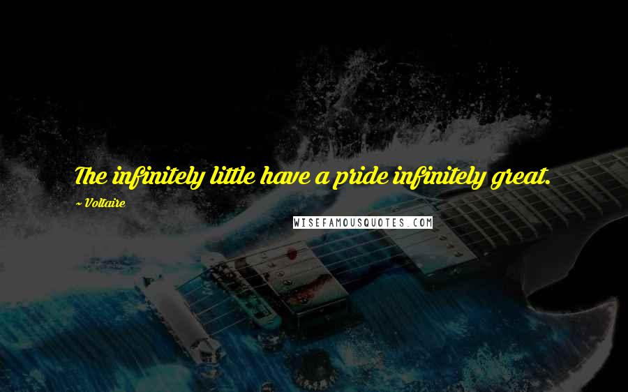 Voltaire Quotes: The infinitely little have a pride infinitely great.