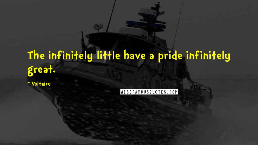 Voltaire Quotes: The infinitely little have a pride infinitely great.