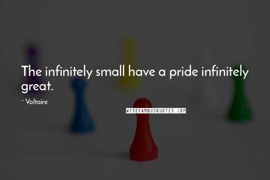 Voltaire Quotes: The infinitely small have a pride infinitely great.