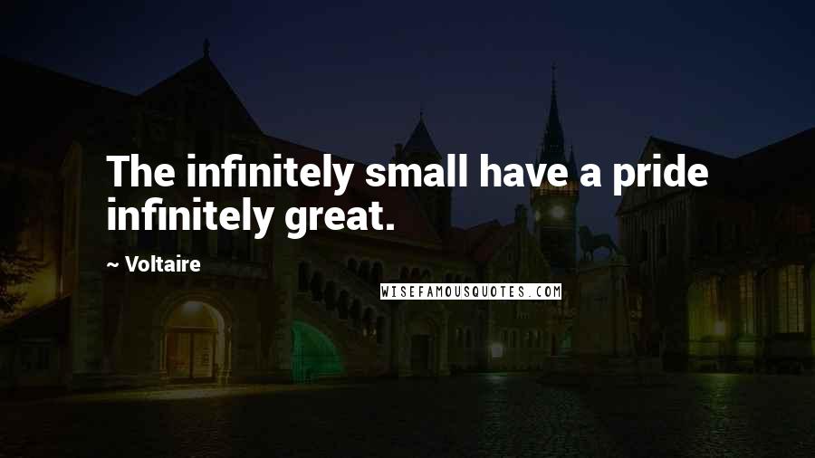 Voltaire Quotes: The infinitely small have a pride infinitely great.