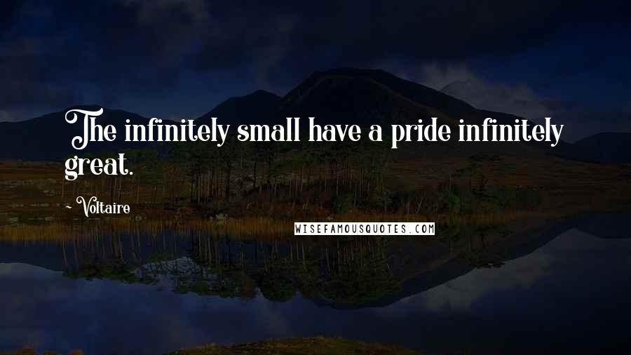 Voltaire Quotes: The infinitely small have a pride infinitely great.