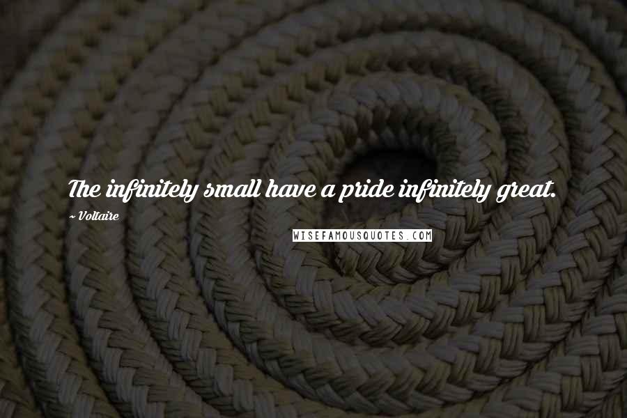 Voltaire Quotes: The infinitely small have a pride infinitely great.