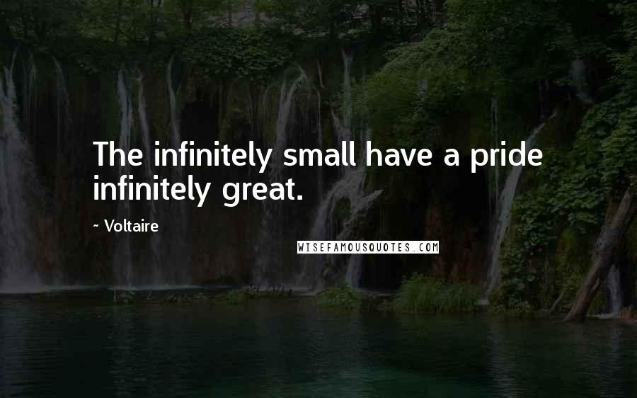 Voltaire Quotes: The infinitely small have a pride infinitely great.