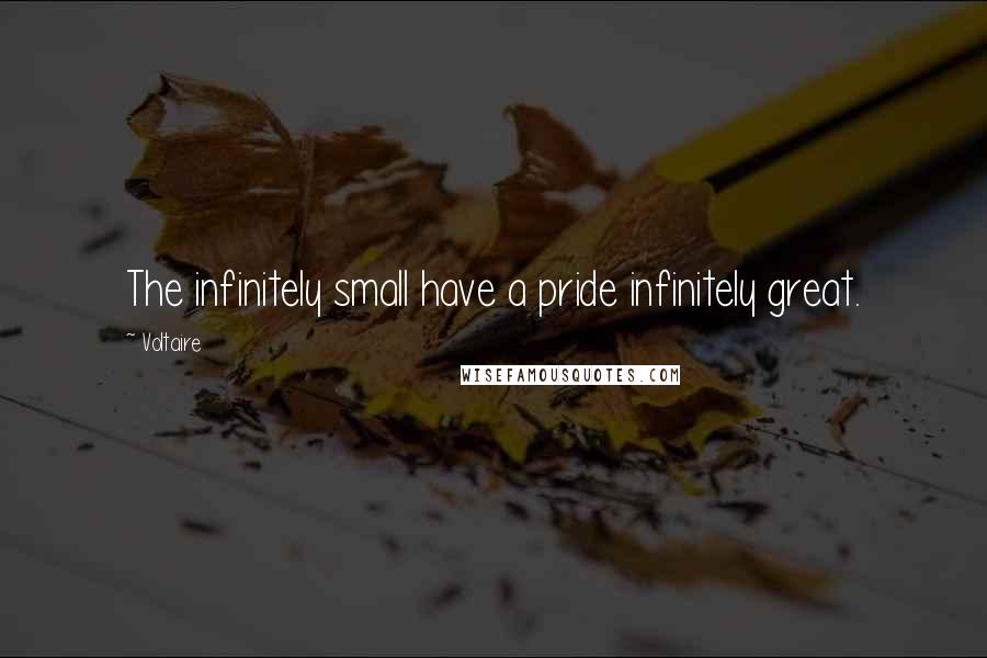 Voltaire Quotes: The infinitely small have a pride infinitely great.