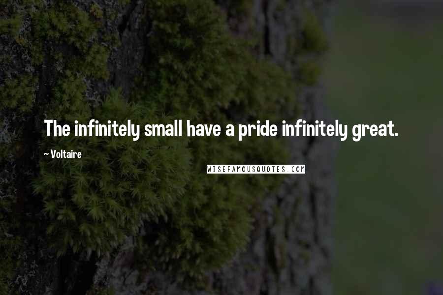 Voltaire Quotes: The infinitely small have a pride infinitely great.