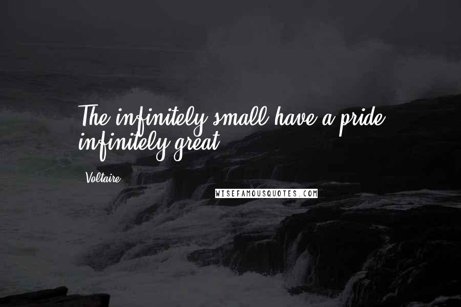 Voltaire Quotes: The infinitely small have a pride infinitely great.