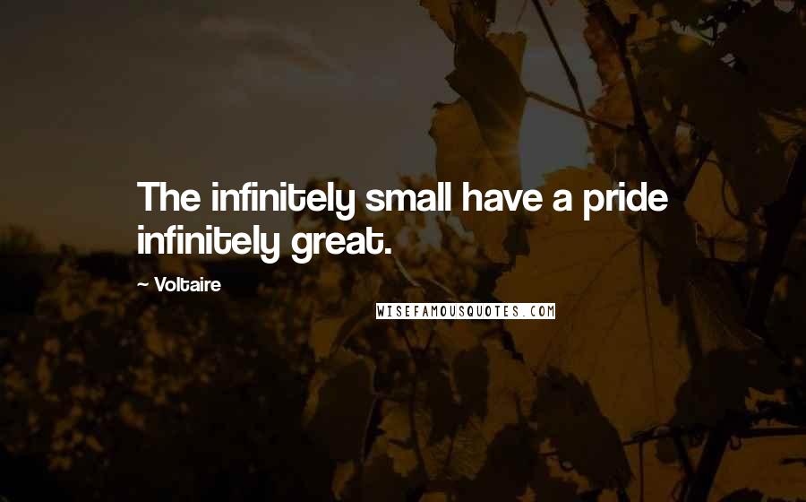 Voltaire Quotes: The infinitely small have a pride infinitely great.