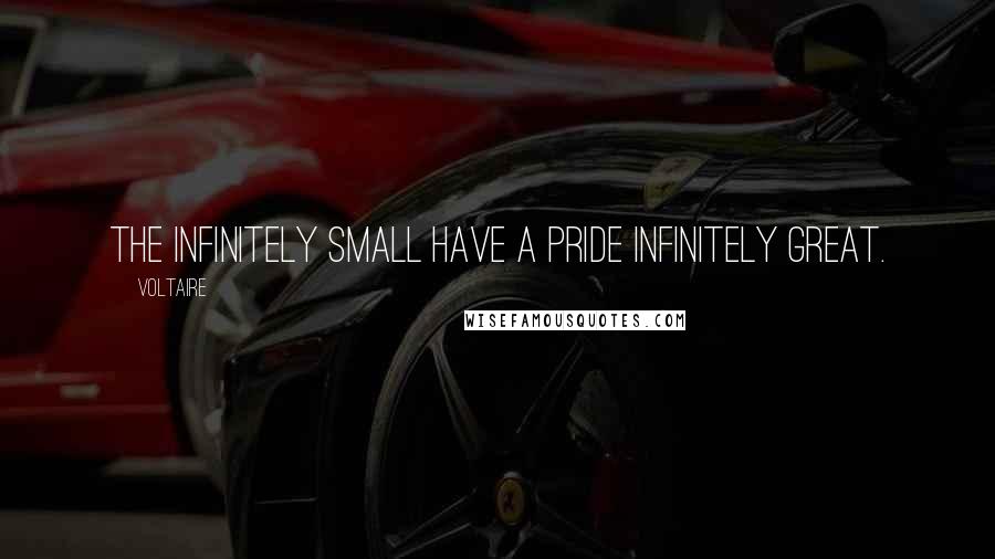 Voltaire Quotes: The infinitely small have a pride infinitely great.