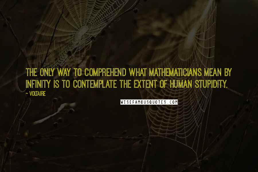 Voltaire Quotes: The only way to comprehend what mathematicians mean by Infinity is to contemplate the extent of human stupidity.