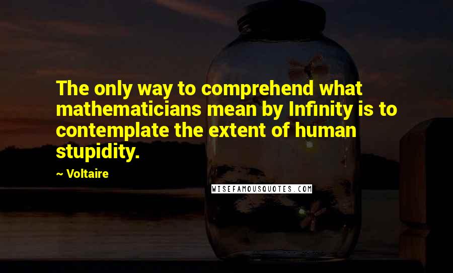 Voltaire Quotes: The only way to comprehend what mathematicians mean by Infinity is to contemplate the extent of human stupidity.