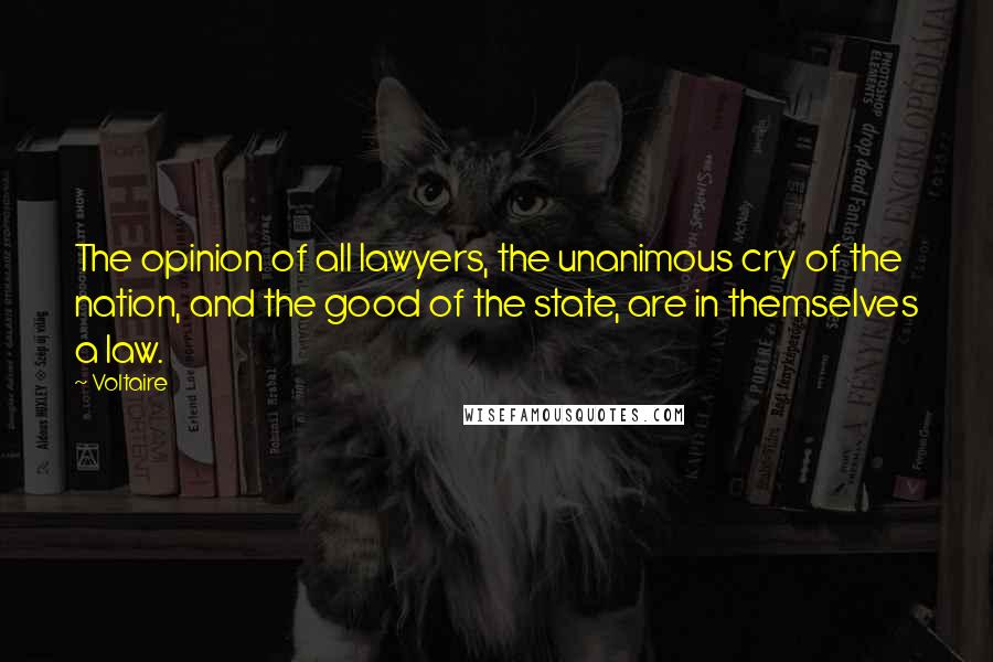 Voltaire Quotes: The opinion of all lawyers, the unanimous cry of the nation, and the good of the state, are in themselves a law.