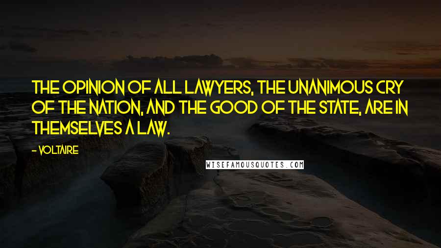 Voltaire Quotes: The opinion of all lawyers, the unanimous cry of the nation, and the good of the state, are in themselves a law.