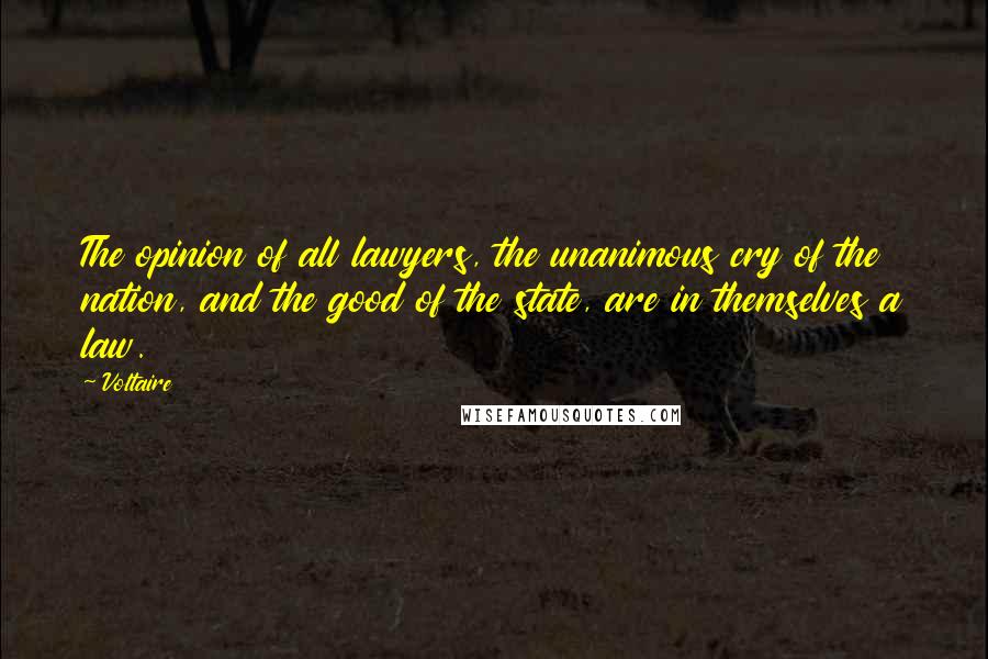 Voltaire Quotes: The opinion of all lawyers, the unanimous cry of the nation, and the good of the state, are in themselves a law.