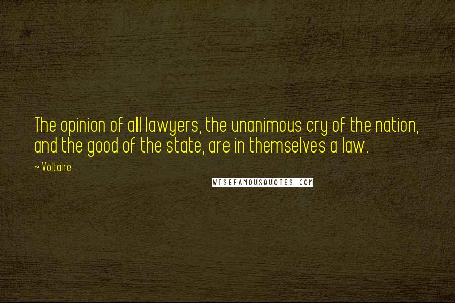 Voltaire Quotes: The opinion of all lawyers, the unanimous cry of the nation, and the good of the state, are in themselves a law.