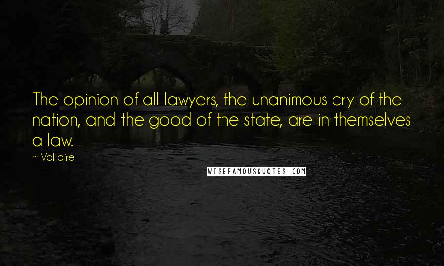 Voltaire Quotes: The opinion of all lawyers, the unanimous cry of the nation, and the good of the state, are in themselves a law.