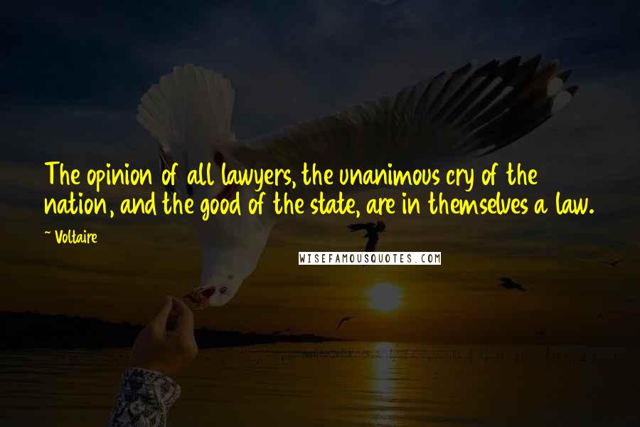 Voltaire Quotes: The opinion of all lawyers, the unanimous cry of the nation, and the good of the state, are in themselves a law.