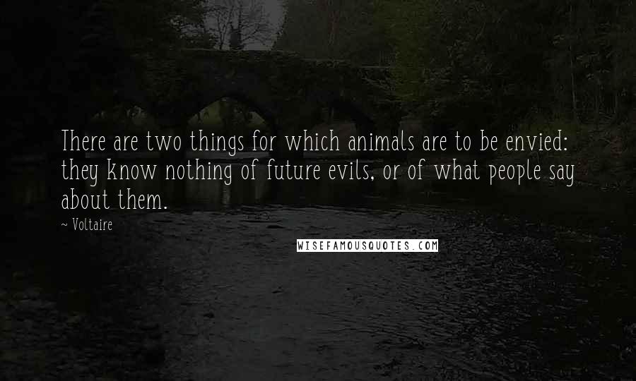 Voltaire Quotes: There are two things for which animals are to be envied: they know nothing of future evils, or of what people say about them.