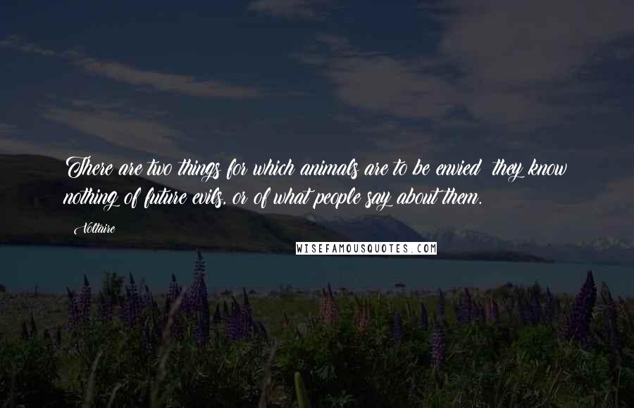 Voltaire Quotes: There are two things for which animals are to be envied: they know nothing of future evils, or of what people say about them.