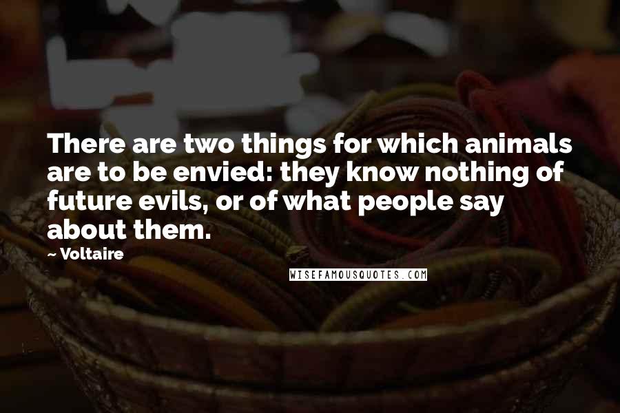 Voltaire Quotes: There are two things for which animals are to be envied: they know nothing of future evils, or of what people say about them.